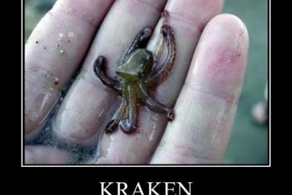 Kraken россия